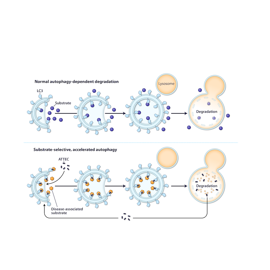 テクノロジーイメージ