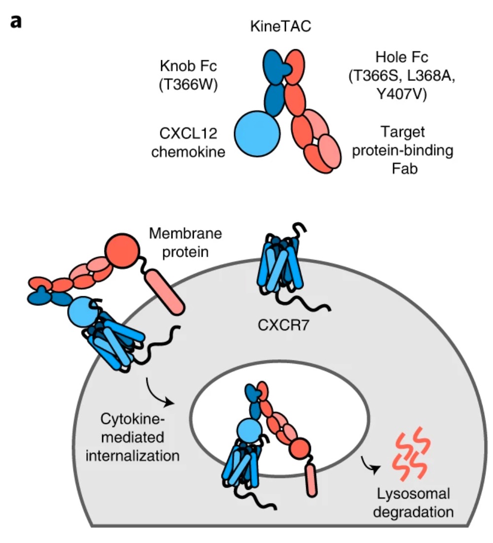 テクノロジーイメージ