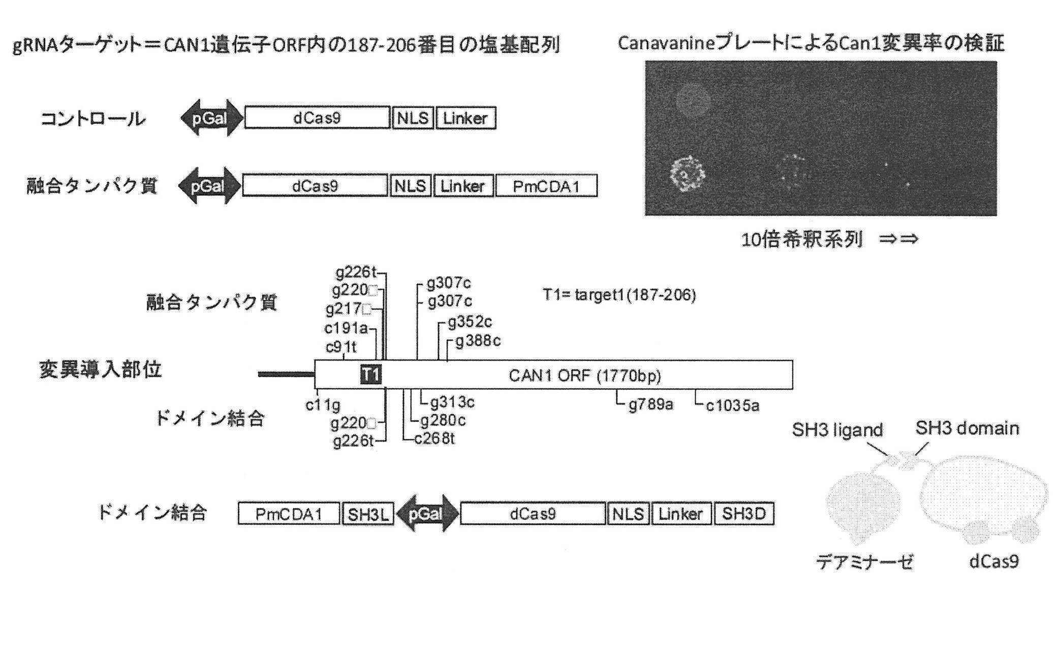 テクノロジーイメージ